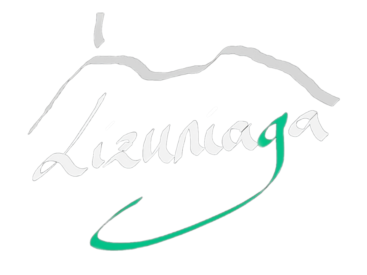 Lizuniaga logo